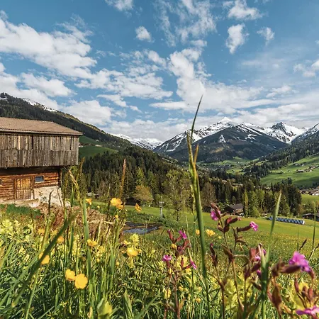 Chalet Nina'S Chalet - Pool, Sauna & Mountain View By Alpenluxus Appartements *