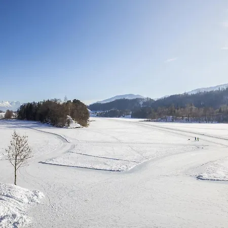 Nina'S Chalet - Pool, Sauna & Mountain View By Alpenluxus Appartements *